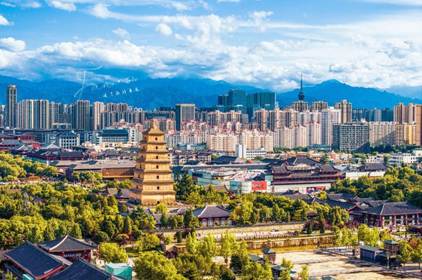 悦行迈斯会奖旅游服务有什么优势？