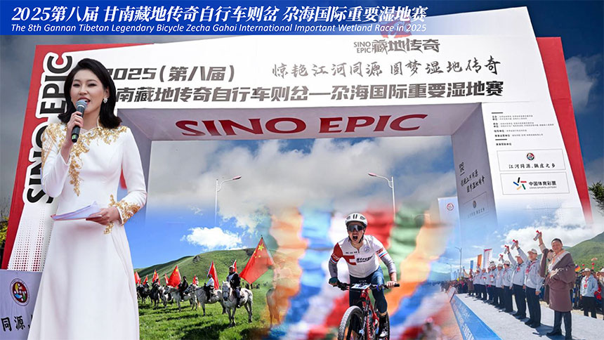 西安政府活动主持人