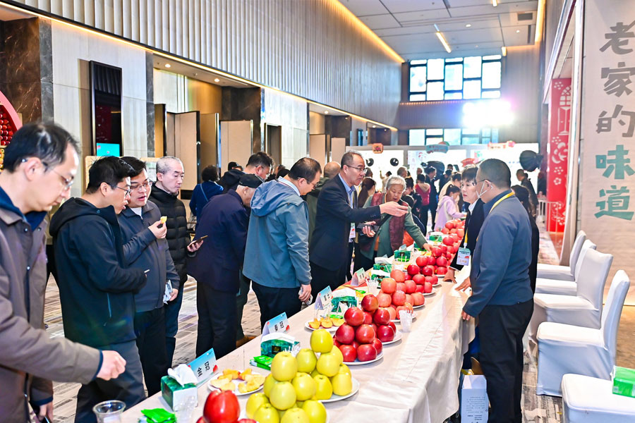 西安农产品推荐会策划