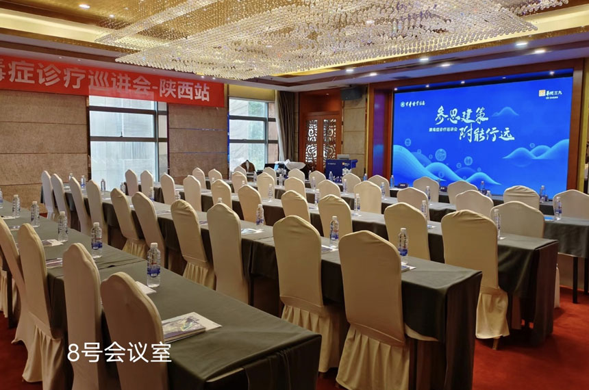110平8号会议室
