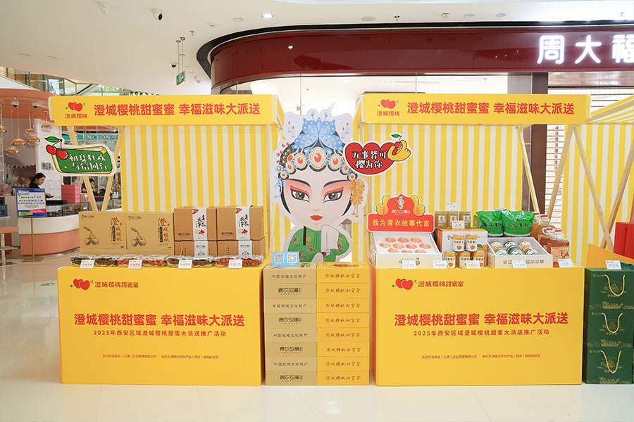 澄城樱桃甜蜜大派送