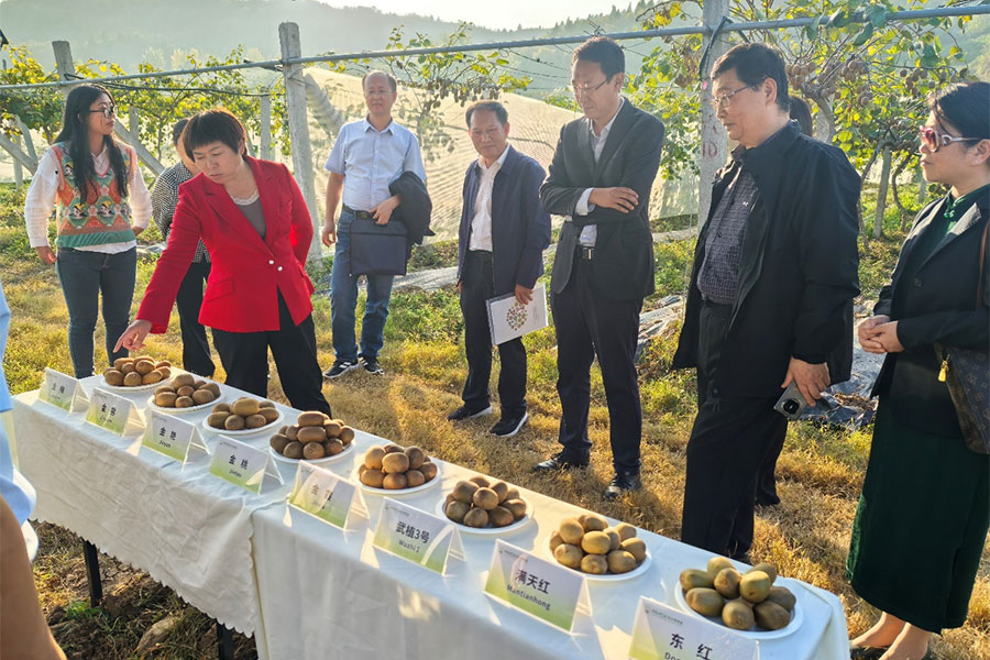 西安农产品推荐会策划