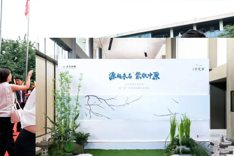 梅花签到