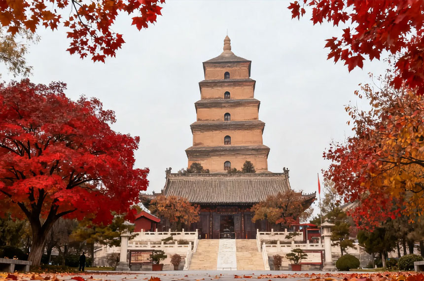 会奖旅游能为企业带来哪些好处?