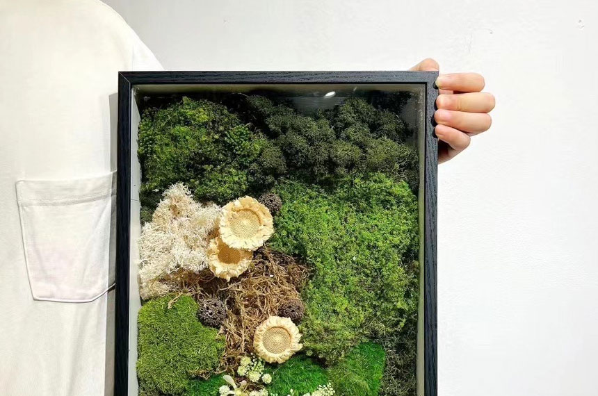 苔藓画景观制作