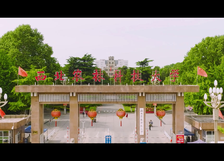 西安高校宣传片拍摄
